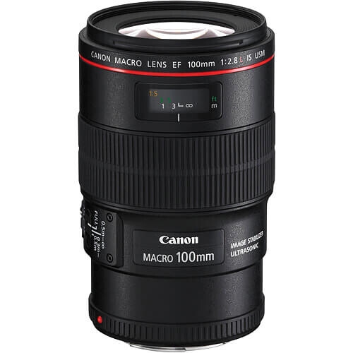 Canon EF 100mm f/2.8L IS USM Macro Lens