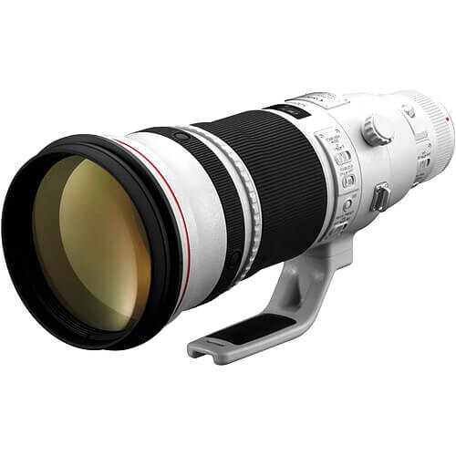 Canon EF 500mm f/4L IS II USM Lens