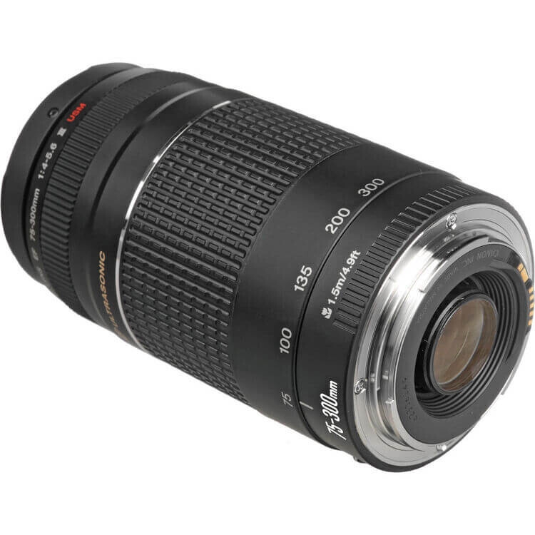 Canon EF 75-300mm f/4-5.6 III USM Lens