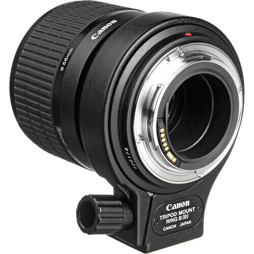 Canon MP-E 65mm f/2.8 1-5x Macro Lens