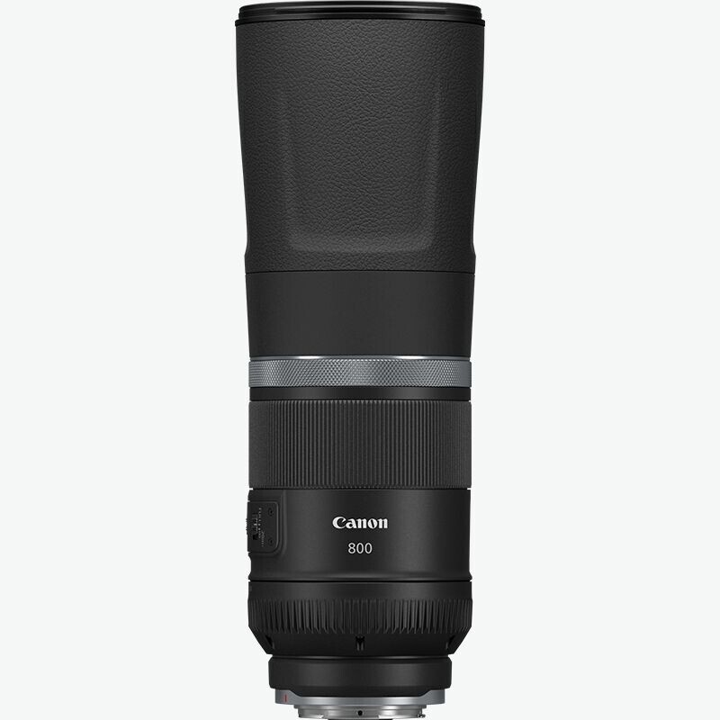 Canon RF 800mm F11 IS STM Lens